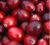Cranberry y cistitis